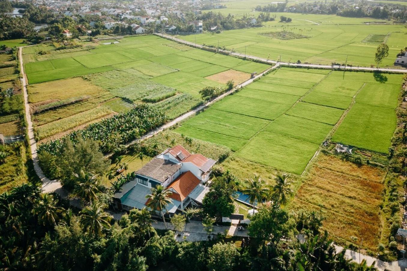 Bong Villa Hoi An - Vesta Collections Eksteriør bilde